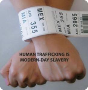 Human Trafficking  course photo