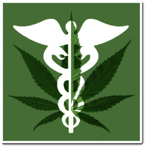 Medical Marijuana 101 course photo